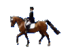 74261f6300_36164463_o2