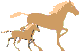 4faf6153e7_36164520_o2