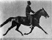 180px-Muybridge_horse_pacing_animated